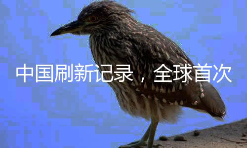 中国刷新记录，全球首次地下万米油气探测成功