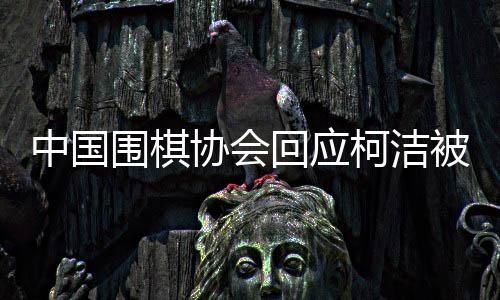 中国围棋协会回应柯洁被判负事件
