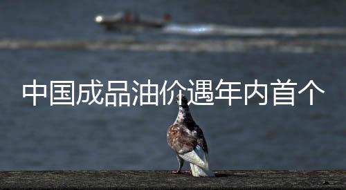 中国成品油价遇年内首个“三连跌”