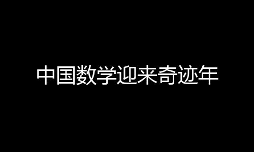中国数学迎来奇迹年