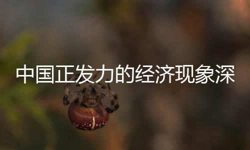 中国正发力的经济现象深度解析
