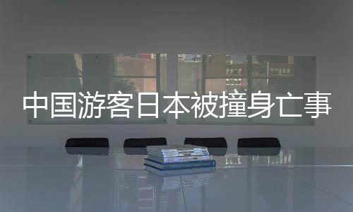 中国游客日本被撞身亡事件曝光，监控揭示真相