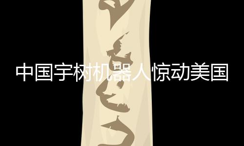 中国宇树机器人惊动美国 波士顿动力果断购买一探究竟