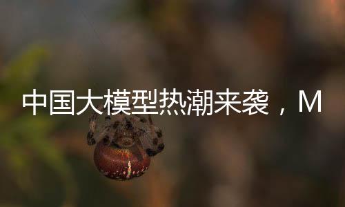 中国大模型热潮来袭，Meta陷入恐慌模式