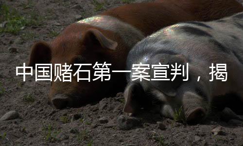 中国赌石第一案宣判，揭开赌石黑幕，维护行业秩序