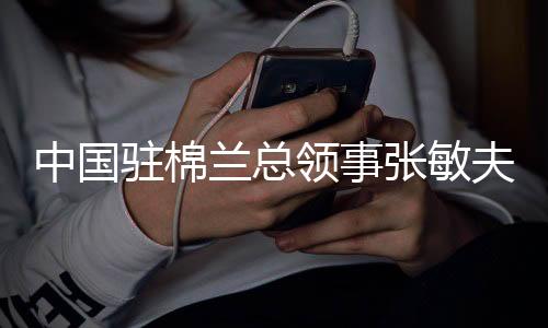 中国驻棉兰总领事张敏夫妇出席苏北华裔总会春节团拜活动