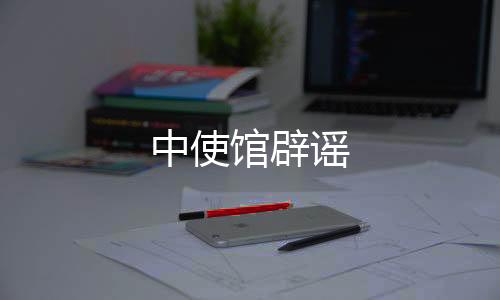 中使馆辟谣