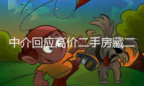 中介回应高价二手房藏二十年租约之谜，详尽解读交易风险及应对策略