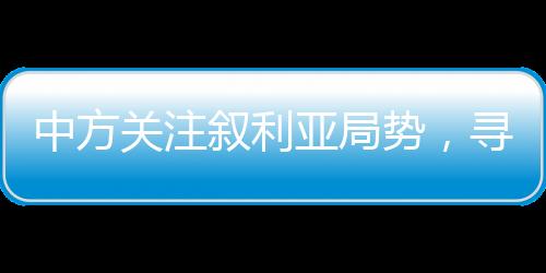 中方关注叙利亚局势，寻求持久和平的解决之道