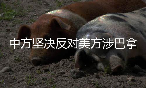 中方坚决反对美方涉巴拿马运河言论，呼吁尊重国际法与国际关系基本准则