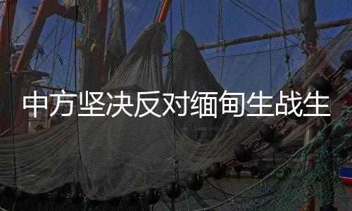 中方坚决反对缅甸生战生乱，呼吁和平稳定与共同发展