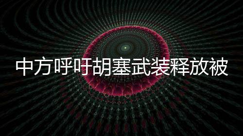 中方呼吁胡塞武装释放被扣押人员