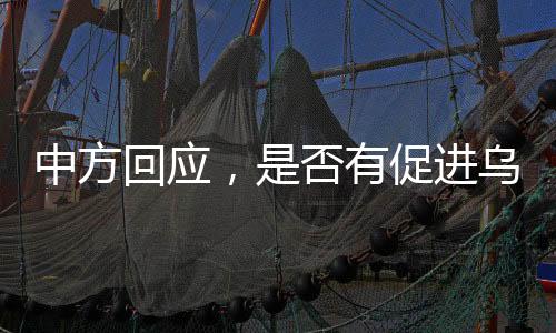 中方回应，是否有促进乌克兰和平新计划