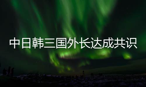中日韩三国外长达成共识，共谋区域稳定与发展新篇章