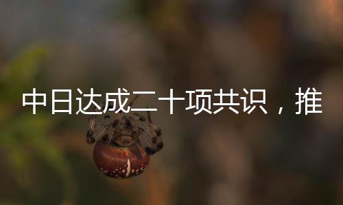 中日达成二十项共识，推动两国关系迈向新篇章