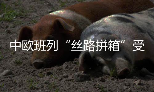 中欧班列“丝路拼箱”受青睐 长沙新春首发班列启程