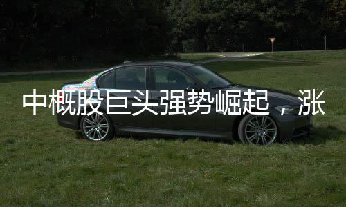 中概股巨头强势崛起，涨幅一度超过900%！