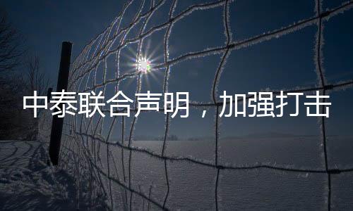中泰联合声明，加强打击人口贩运