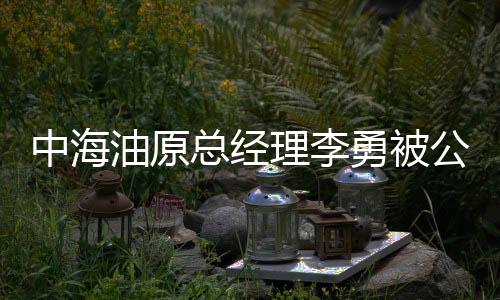 中海油原总经理李勇被公诉，内幕揭示与公众关注焦点