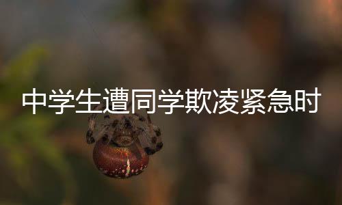 中学生遭同学欺凌紧急时刻被勇敢市民救下