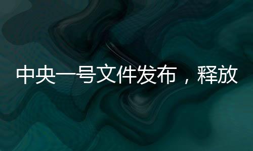 中央一号文件发布，释放多重新信号，引领未来发展新方向