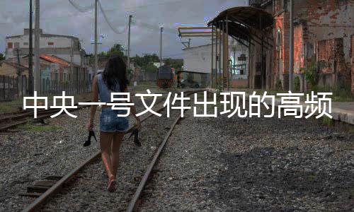 中央一号文件出现的高频词汇概览