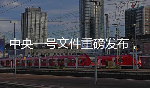中央一号文件重磅发布，提高城乡居民养老金