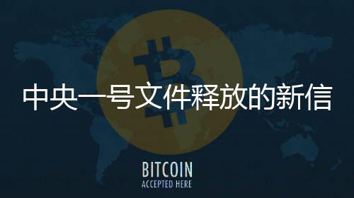 中央一号文件释放的新信号引领未来发展