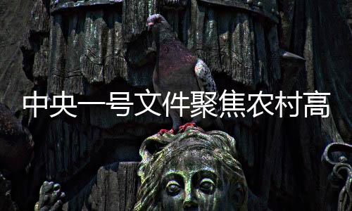 中央一号文件聚焦农村高额彩礼治理，倡导文明新风重塑乡村风貌