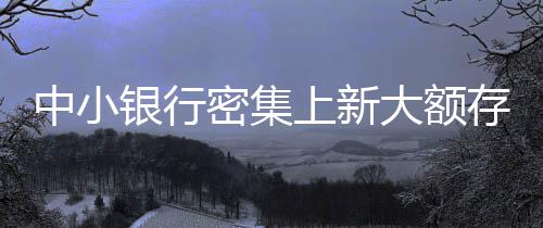 中小银行密集上新大额存单，新的市场机遇与挑战