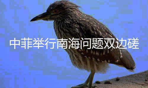 中菲举行南海问题双边磋商机制会议