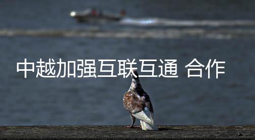 中越加强互联互通 合作书写发展新篇章