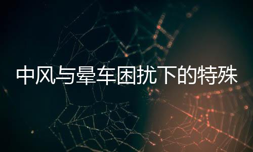中风与晕车困扰下的特殊拜年之旅，一位79岁老人的艰辛与坚韧