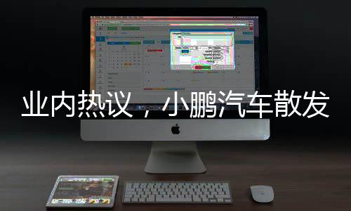 业内热议，小鹏汽车散发出雷军味儿
