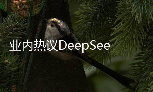 业内热议DeepSeek创始人，技术理想主义的践行者