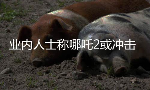 业内人士称哪吒2或冲击全球影史前三，引发期待热潮