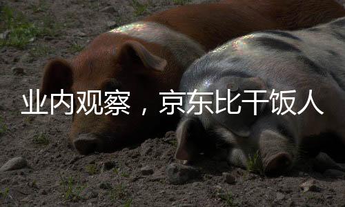 业内观察，京东比干饭人更需要外卖时代赋能于物流业新契机——深入探讨京东发力外卖市场之动因