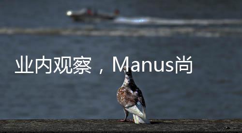 业内观察，Manus尚未引爆硅谷觉醒之力