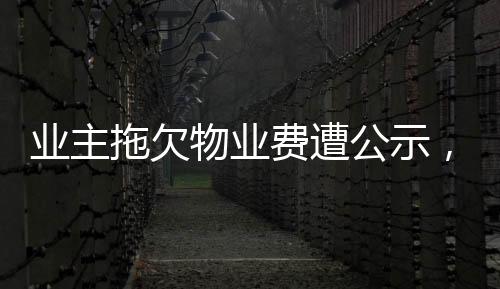 业主拖欠物业费遭公示，法院判决揭示法律责任