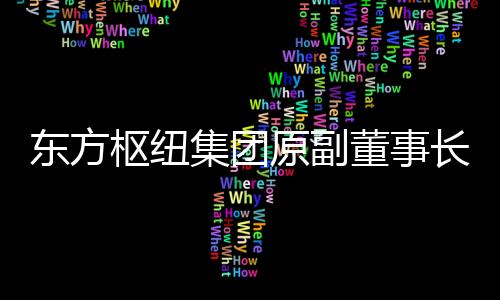 东方枢纽集团原副董事长徐孙庆接受审查调查