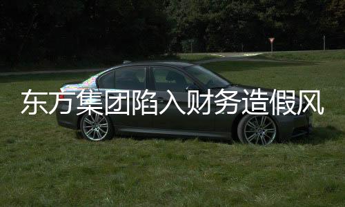 东方集团陷入财务造假风波