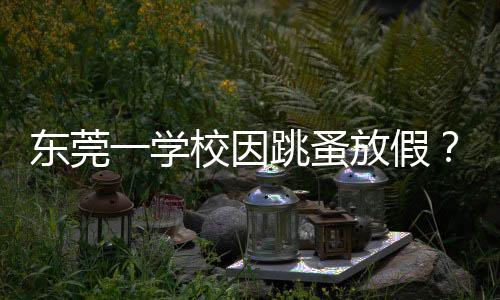 东莞一学校因跳蚤放假？教育局回应