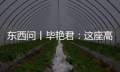 东西问丨毕艳君：这座高原古城何以成为丝路青海道上的明珠？