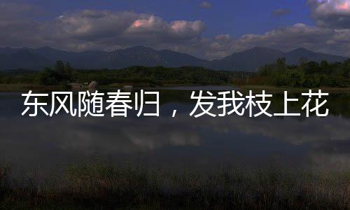 东风随春归，发我枝上花——春日的绽放与生机