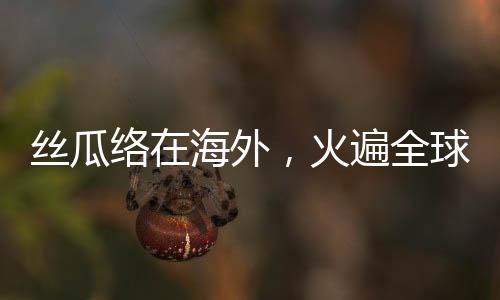 丝瓜络在海外，火遍全球的文化与艺术之旅