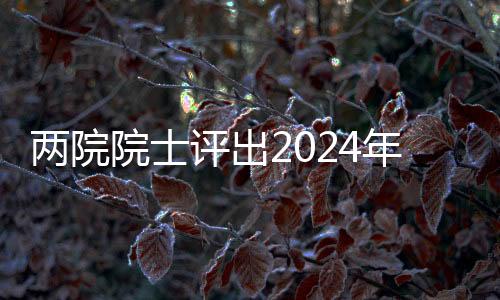 两院院士评出2024年世界十大科技进展新闻：马斯克“筷子”夹火箭上榜
