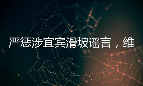 严惩涉宜宾滑坡谣言，维护社会和谐稳定