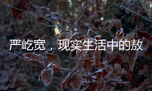 严屹宽，现实生活中的敖光形象
