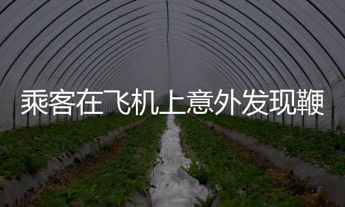 乘客在飞机上意外发现鞭炮，引发关注与调查