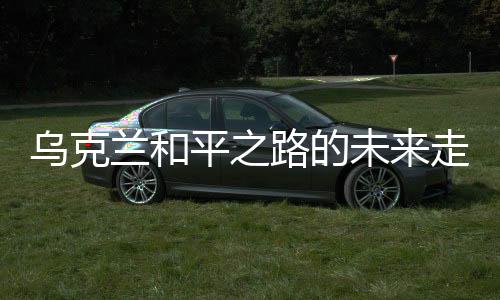 乌克兰和平之路的未来走向